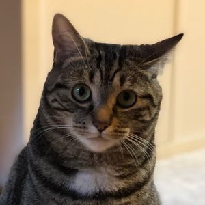 Meet your Posher, Guylaine